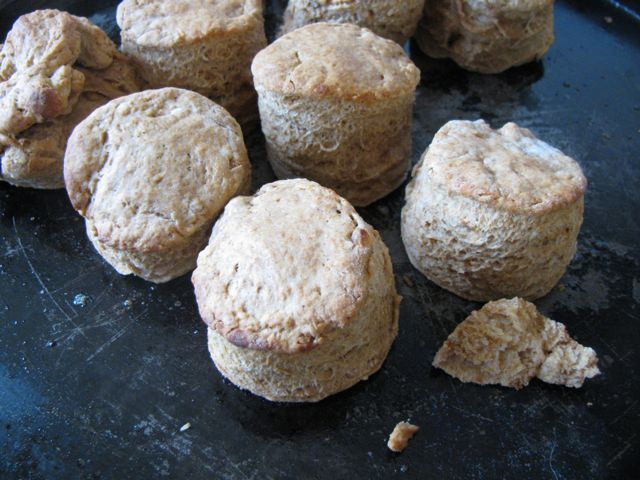 Homemade treacle scones with warm cinnamon and a golden, crumbly texture